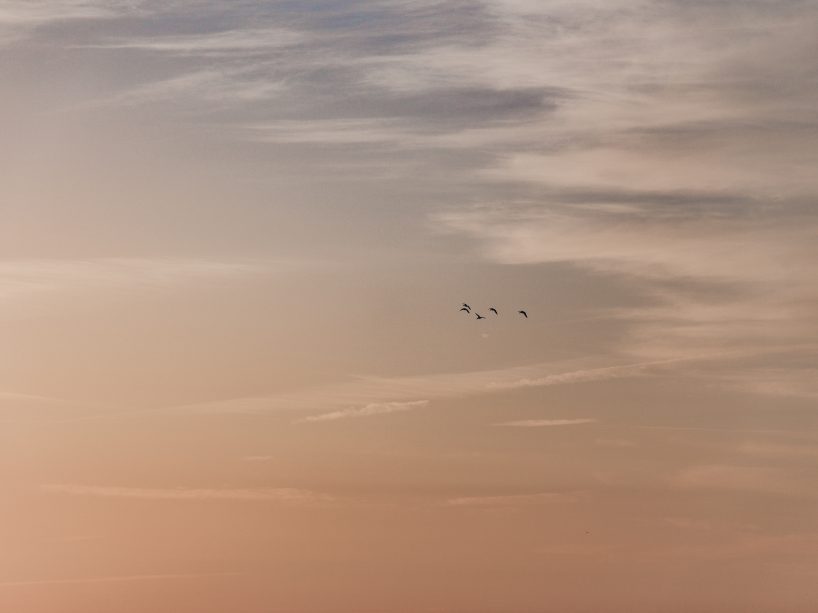 _MG_0978